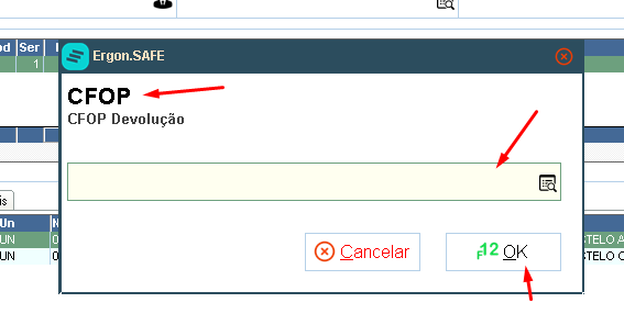 Confirmação de senha para devolução